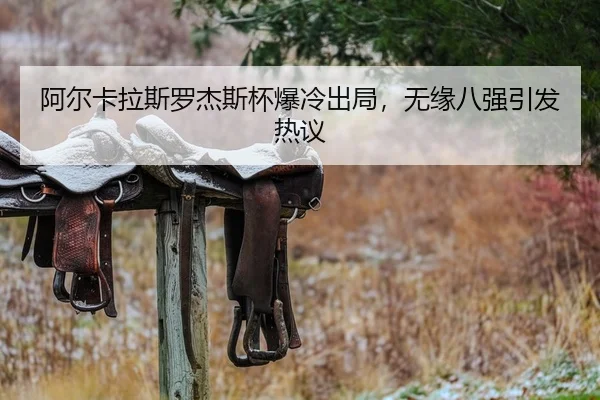 a-er-ka-la-si-luo-jie-si-bei-bao-leng-chu-ju-wu-yuan-ba-qiang-yin-fa-re-yi-3-123.jpg