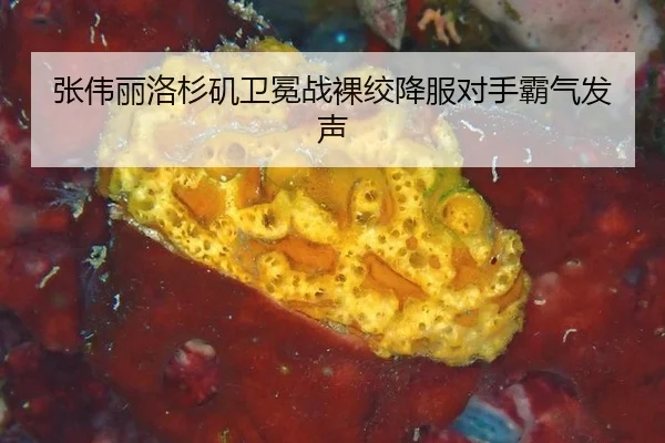 张伟丽洛杉矶卫冕战裸绞降服对手霸气发声