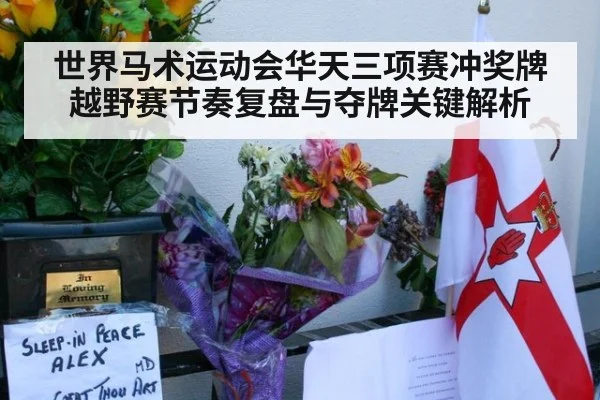 世界马术运动会华天三项赛冲奖牌越野赛节奏复盘与夺牌关键解析