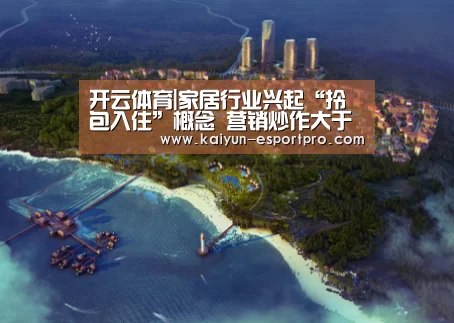 开云体育|家居行业兴起“拎包入住”概念 营销炒作大于实际落地(图2) 开云体育