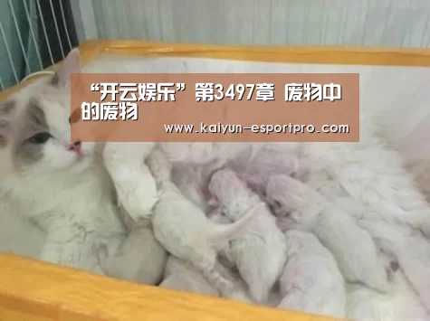 “开云娱乐”第3497章 废物中的废物(图1) 开云体育平台